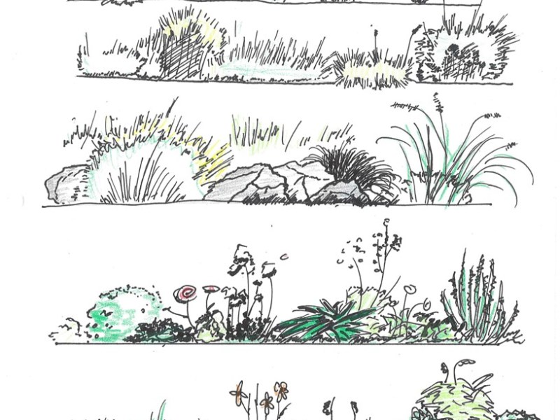 Rock and Shrubs&nbsp;Study