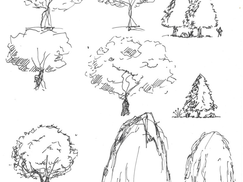 Tree Speed Study
